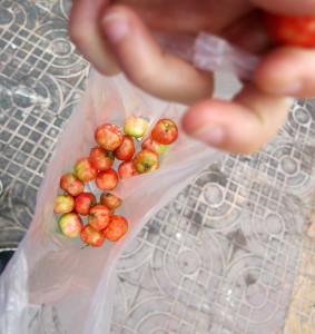 Phnom Penh, Cambodia, Cherries