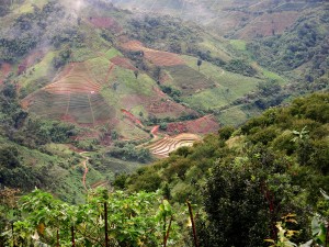 valleys, Mae Salong, Thailand, view