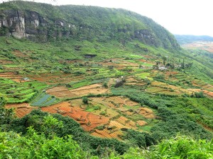 Sri Lanka, Nuwara Eliya