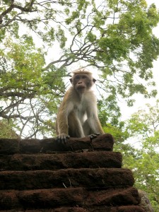 Sigiriya, Sri Lanka